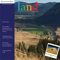 LAND Magazine