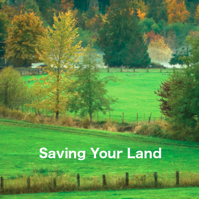 Saving Your Land